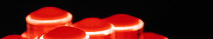Pen Light